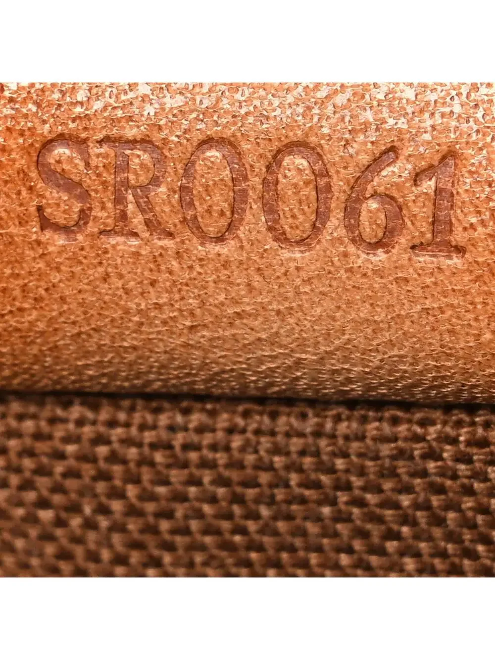 Louis Vuitton Vavin Pm #310196L79B